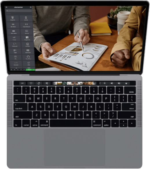 Flexible Theme Options